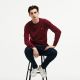 Pull Lacoste AH0841 at6 bordeaux marine farine