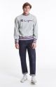 Sweatshirt Champion men grey purple  211685S18 EM004 S8IFA3IT39 LOXGM PRV