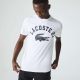 T-shirt Lacoste TH0061 001 blanc